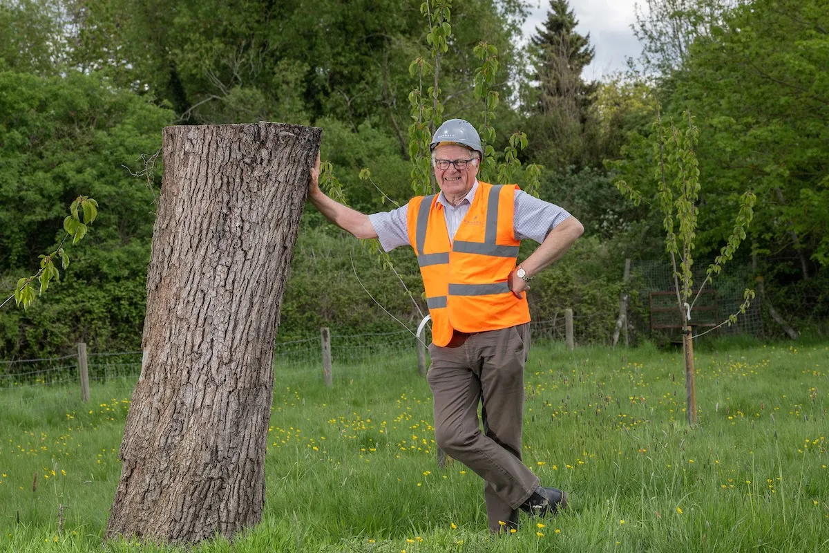 An old pear tree at Barratt Homes Charfield Gardens development in Wotton-under-Edge has been transformed into a bijoux new residence – for bees.